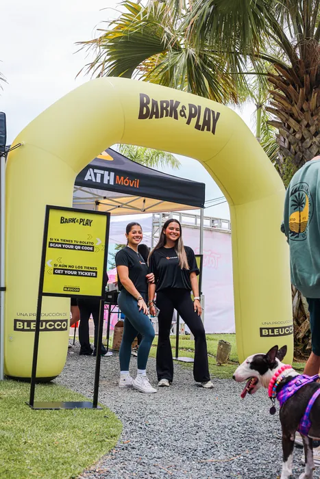 Bark and Play 15